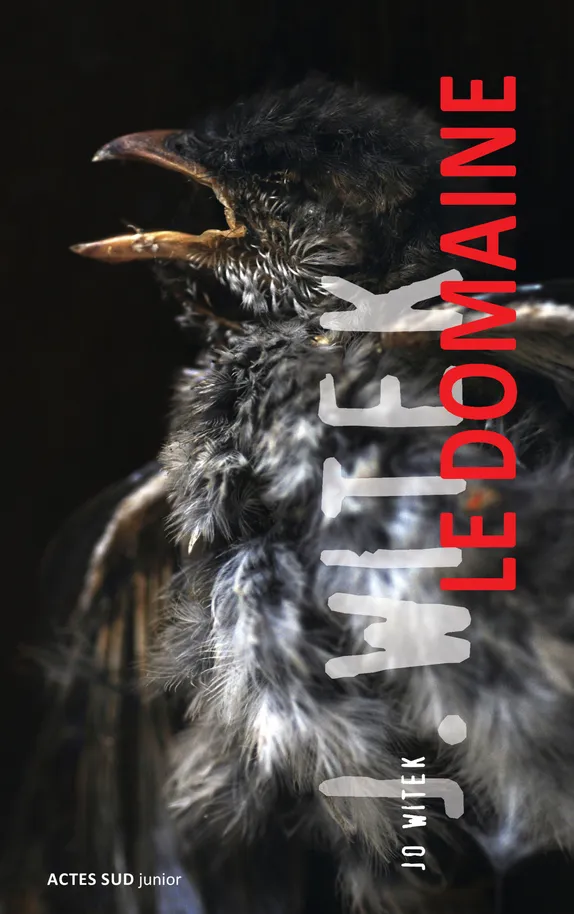 Le domaine roman thriller jo witek